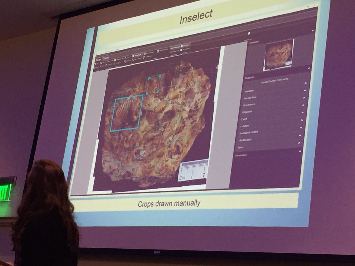 libbyellwood's tweet photo. Christina Lutz showing how they use #Inselect in paleo collections. 100s of individuals can be found in concretions #SPNHCDen2017 https://t.co/V6smY3uLF0