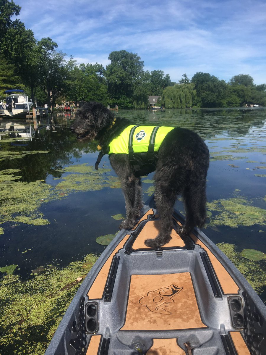 Catchorreleasereview tweet media