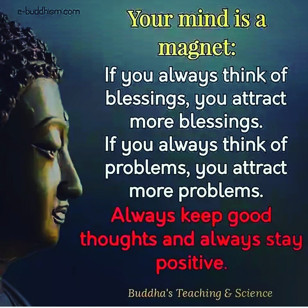 skyangelent's tweet photo. #wednesdaymotivation #wednesdaywisdom #origin #firstdayofsummer #dailyquotes #FruityPop #SkyBird #spots&amp;emojis https://t.co/f8GPRfjQb9 https://t.co/tiAo9nMxBb
