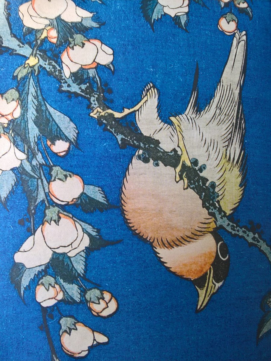 ap_doubleu's tweet photo. Much more than a 'Great Wave' - excellent exhibition of #hokusai #britishmuseum #woodblock #print #japan https://t.co/dCQ8cmzXqn