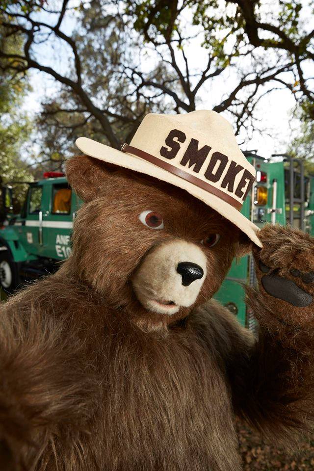 smokey_bear's tweet photo. And it's also #NationalSelfieDay so here's my bearie... https://t.co/dESSt72lA9