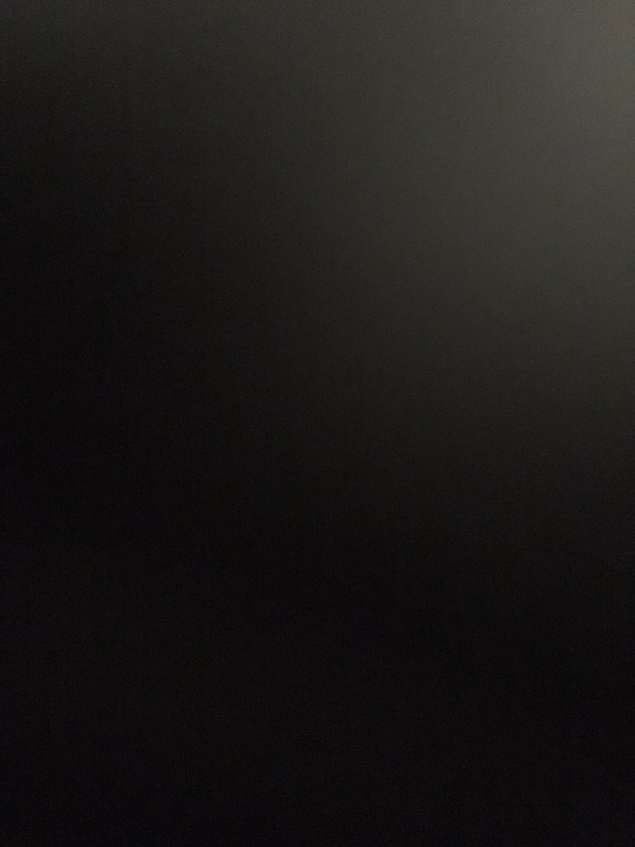 A_single_bear's tweet image. I am not good at this. I am a bear. #NationalSelfieDay