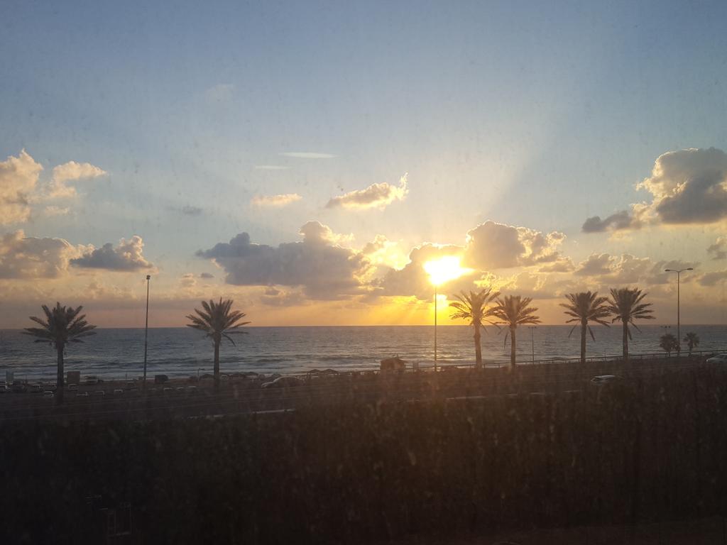 Tamir Segal tweet media