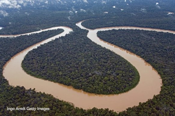 sciam's tweet image. Amazon rain forest may have once been a giant marine lake bit.ly/2rVE3UP