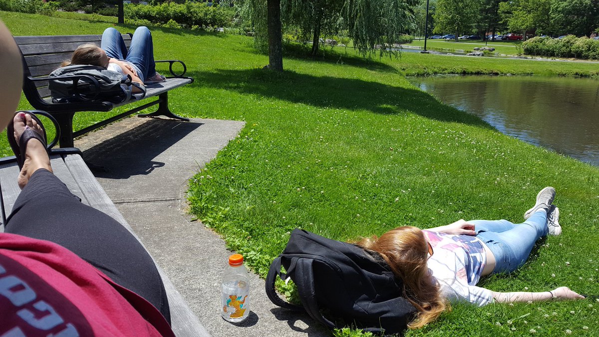 CometHailee's tweet photo. After a long day of setting out our experiment we deserve a relaxing lunch by the gunks @DRichardsonLab #NEGLEON #SummerSolstice https://t.co/05o6wgplYY