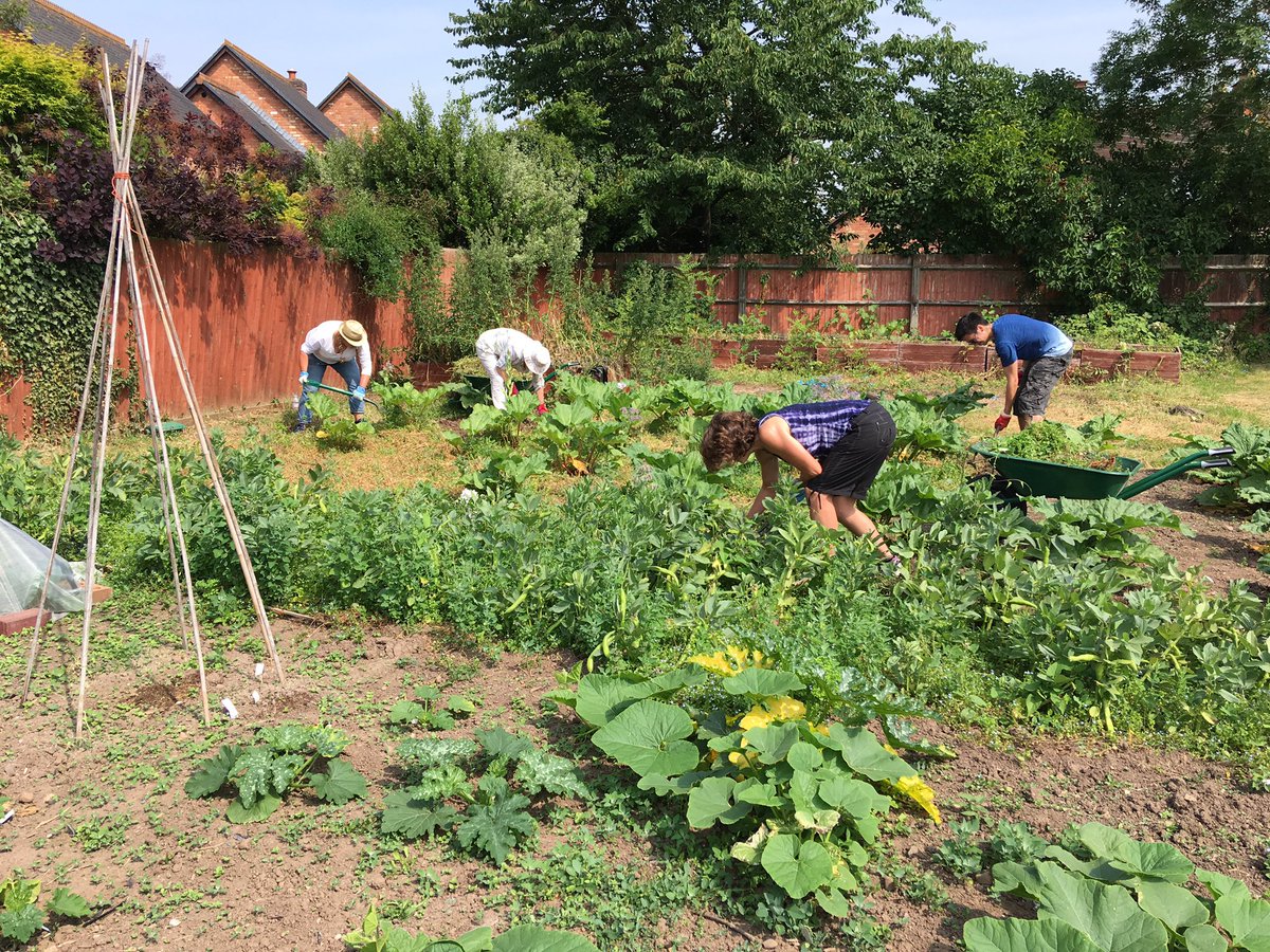 Hortyphil's tweet photo. Malvern Hills DC volunteering at Link Nurseries @FionaNarburgh @linknurseries1 @PershoreCollege @BrendanYoung3 https://t.co/eDx42QkcZw