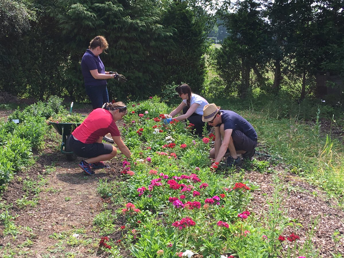 Hortyphil's tweet photo. Malvern Hills DC volunteering at Link Nurseries @FionaNarburgh @linknurseries1 @PershoreCollege @BrendanYoung3 https://t.co/eDx42QkcZw