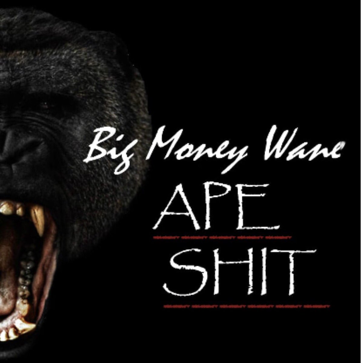 BigMoneyWane's tweet photo. "Ape Shit🦍" Out Now!!! Hit the the link to go check it out‼️💰🙏🏾 https://t.co/OTa1Giqonh #YaaYaaAyeeee #NSG #StopSleepinOnMe https://t.co/Si4idqvvku