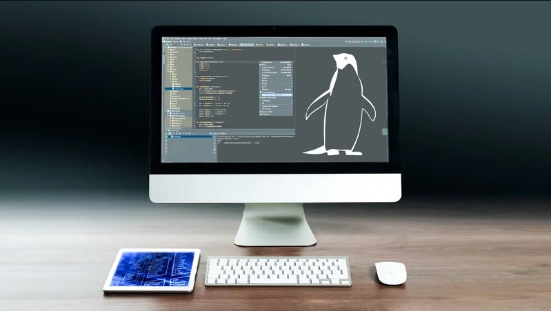 Ella_Wilson09's tweet image. The Complete Guide To LPIC 1 Linux Administrator Exam goo.gl/LnWt6i #linuxcourse #linuxtutorialforbeginners #linuxonlinecourse
