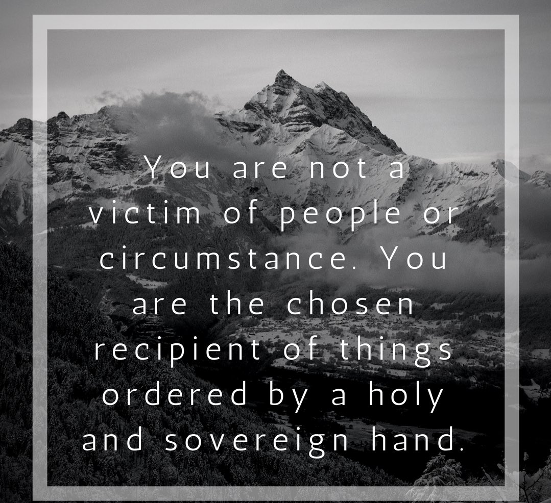 Jacqueline K tweet media