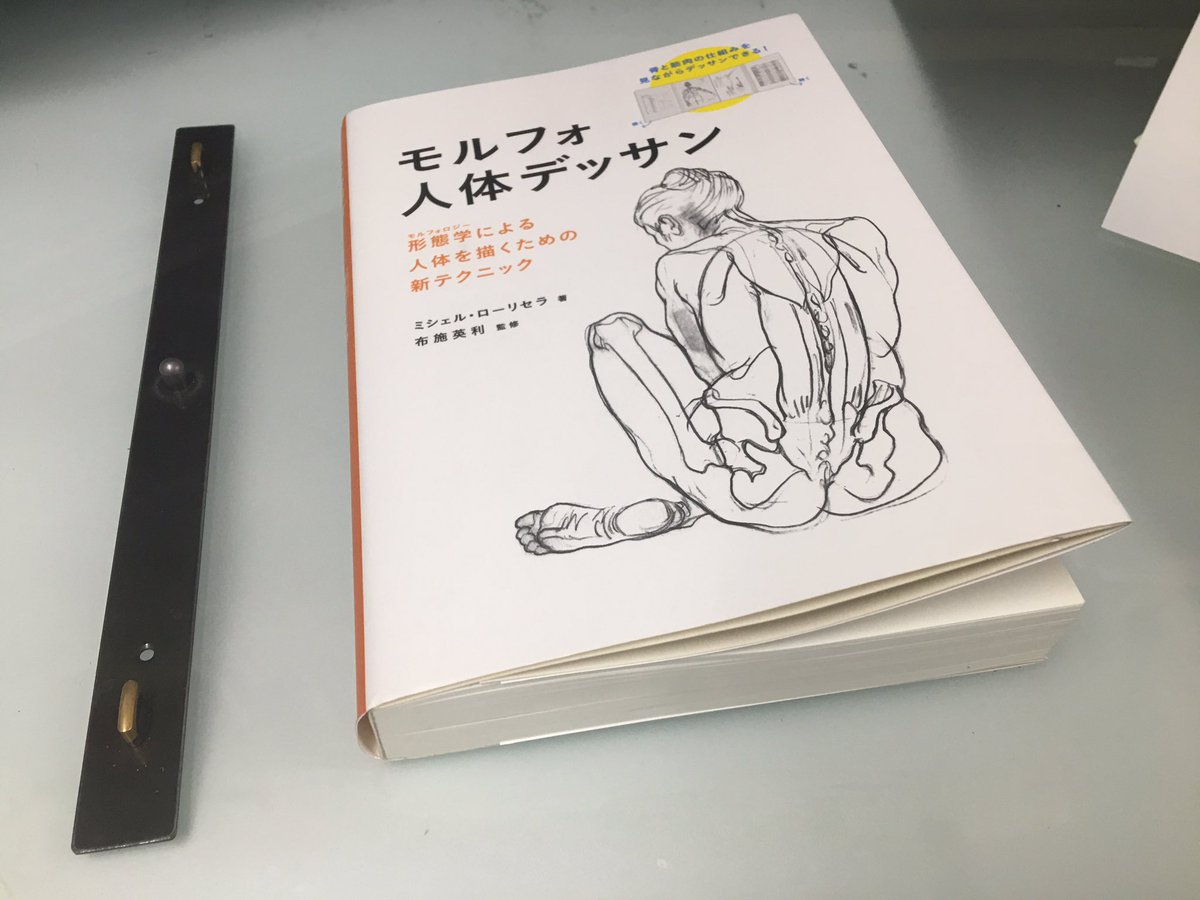 山崎淳 ひまおう Oktさんに勧められた モルフォ人体デッサン が超良いです 内容もさる事ながら何より模写 しやすいサイズ感 これ重要 そしてボリューム 直向きに模写をしていた日々を思い出します 税別00円
