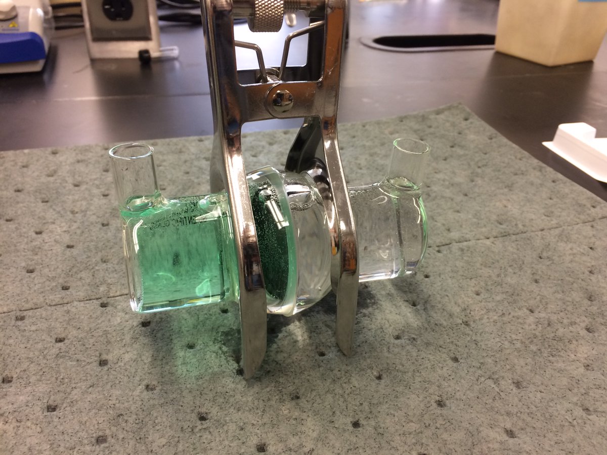 MC iGEM (@mc_igem) on Twitter photo Dawud & Syeda learning how to use the sputter coater -making anodes. Also making nanowires! Move ahead, slowly but surely. <a href="/ManhattanEdu/">Manhattan University</a> Dawud & Syeda learning how to use the sputter coater -making anodes. Also making nanowires! Move ahead, slowly but surely. <a href="/ManhattanEdu/">Manhattan University</a>