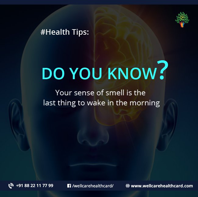 WellCareCard's tweet photo. Surprising facts about human sense organs.
#wellcarehealthcard #HealthCard #healthtip #factsabouthealth #sense
https://t.co/blHLr31aaC https://t.co/vWJUfgUbBa