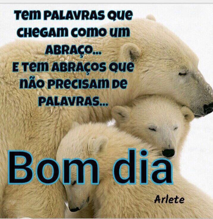 AAFL97's tweet photo. Bom dia !
#BetaAjudaBeta #betaseguebeta #TimBeta https://t.co/ob7FkV2fMe