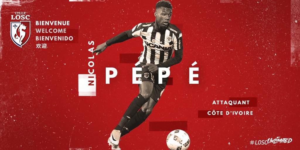 losclive's tweet photo. 🔴 #Mercato C’est officiel, @nicolaspepe19 (22 ans) 🇨🇮 est un #Dogue 
  Le Communiqué Officiel ➡️ https://t.co/3e5limBt5R 
  #LOSCUnlimited https://t.co/RNN7HW65q9