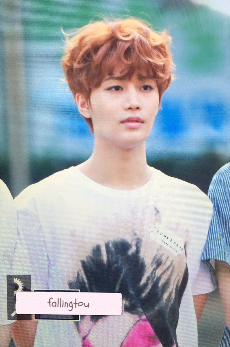 Taeil_as_Shiba's tweet photo. https://t.co/MCxvr7bzZq