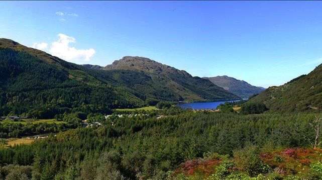 VisitCowal's tweet photo. #Cowal is known as the Seaboard Gateway to Loch Lomond &amp; The Trossachs National Park. Rich in #birdlife &amp; #wildlife
https://t.co/xzUDyOytFd https://t.co/lz4W0WKPUH
