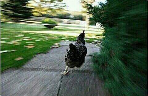 soetry_sa's tweet photo. Me warming running for the poems for the #CSPslam provincials
@joborgTheatre
R80 per person :)
1 July
14h00
Yesss
#soetry https://t.co/lIK9mAOvSU