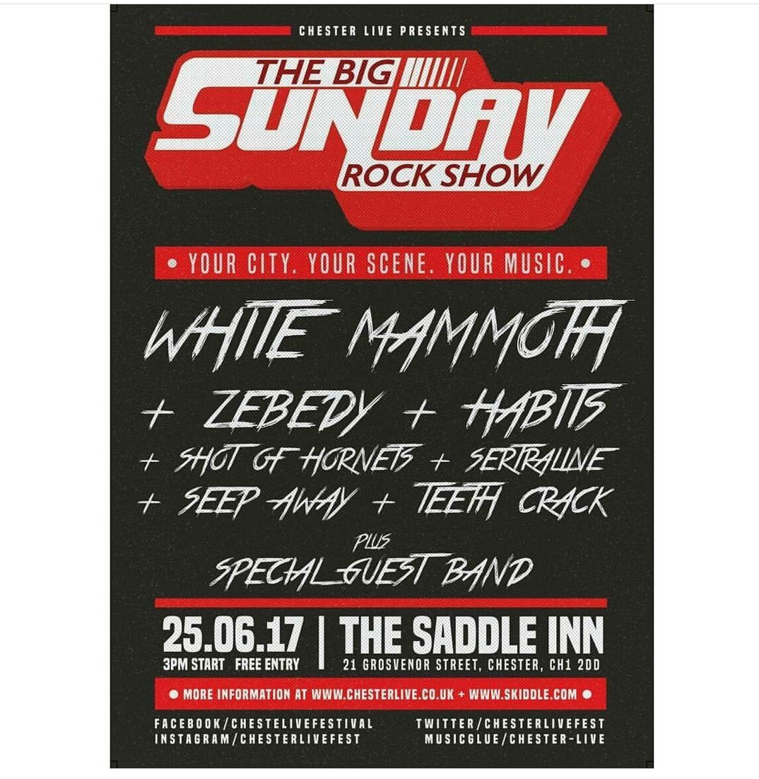 TeethCrack's tweet photo. This Sunday I play Chester for the first time as part of the #ChesterRocks festival. I'm on first around 3:30 🤘💀 https://t.co/8tZFUwGYwd