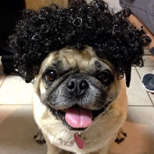 SWareHotDogs's tweet image. I see no difference