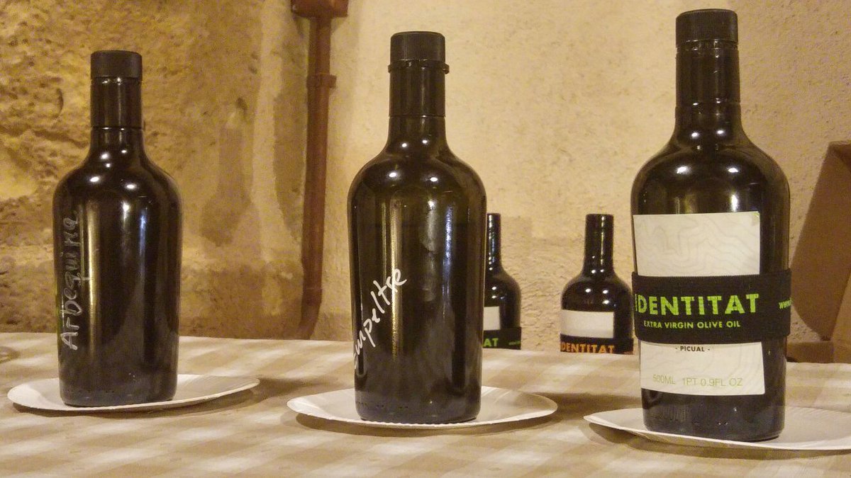 turismecat's tweet photo. Impulsem l’oleoturisme en un blogtrip del programa europeu #wellolive organitzat per la DGT. https://t.co/3dTPfx8mxg https://t.co/GhrTzCKX9d