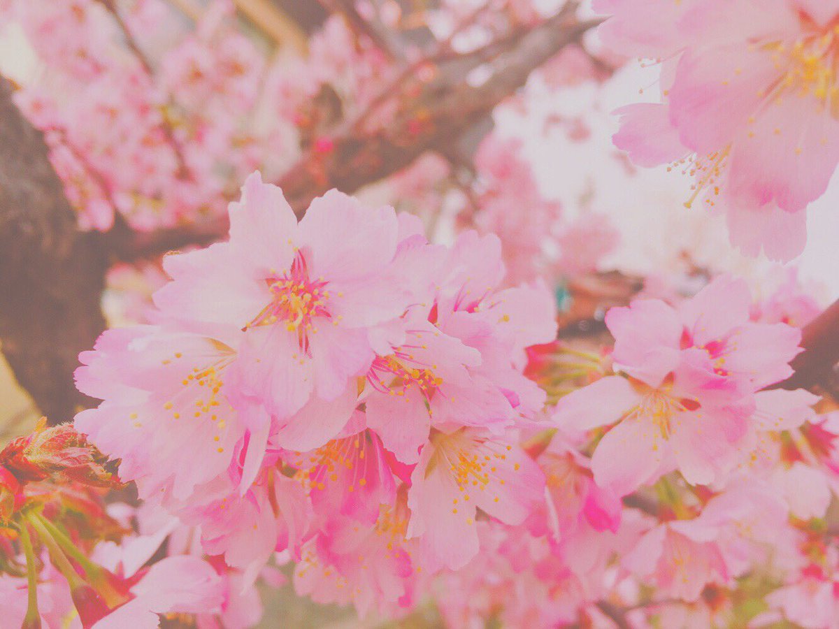 ha_haaaachan's tweet image. .

久しぶりに自己紹介🌿
はーちゃん🌸です。
北海道の高校のLJKです💗🙌

like ☞簿記、社会系
not like ☞数学、英語

よろしくおねがいします🙏🏼💓
.
#勉強垢さんと繋がりたい 
#RTした人で気になった人お迎え 
#一緒に勉強頑張ってくれる人RT