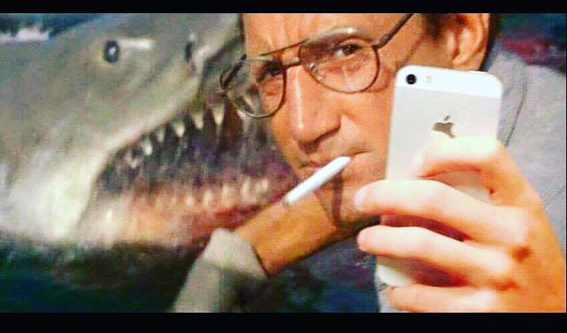 Lydia Shark tweet media