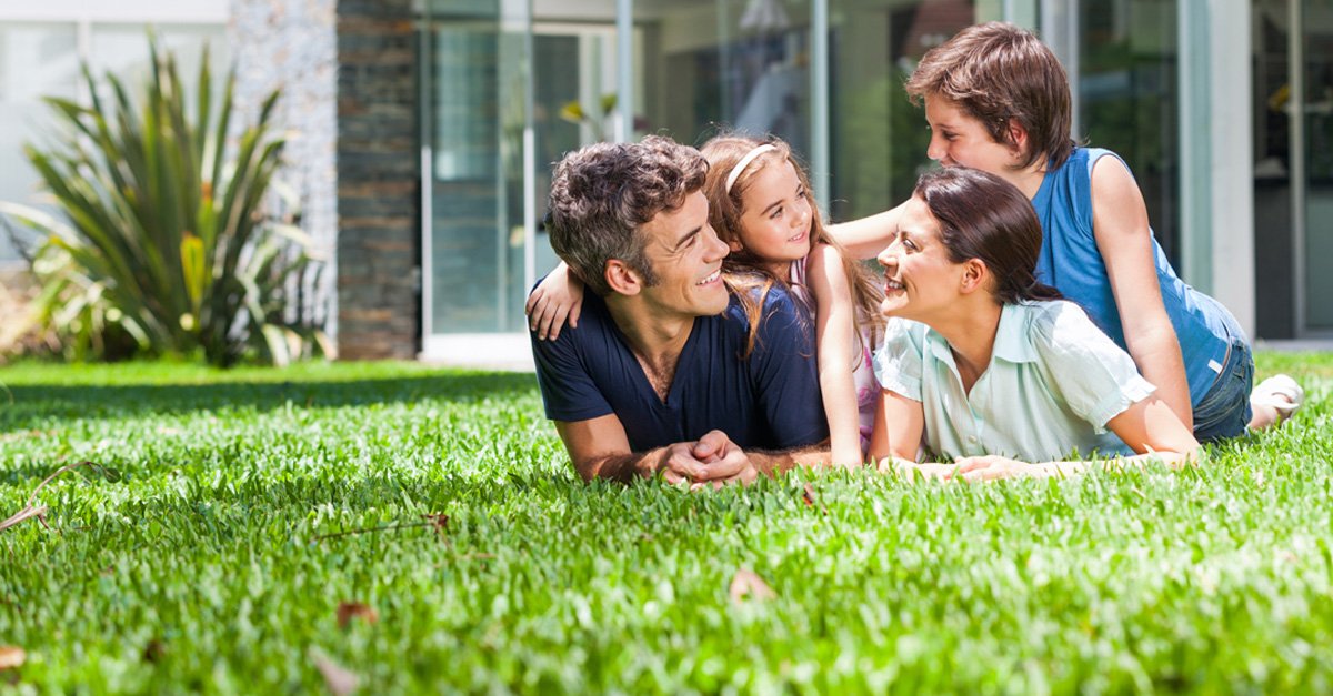 leamingtonHH's tweet photo. Mark Cullen gives the green light to these useful lawn care tips for summer. https://t.co/TF7iaQGHQI https://t.co/vIsMRRSzeV