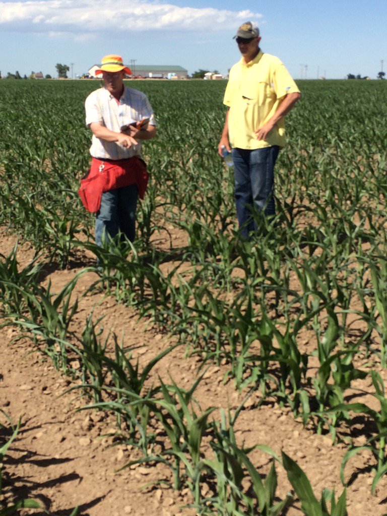 ForageManDan's tweet image. Two legends of the corn industry. One helped develop drought tolerant AquaMax hybrids, the other Pioneer BMR corn!