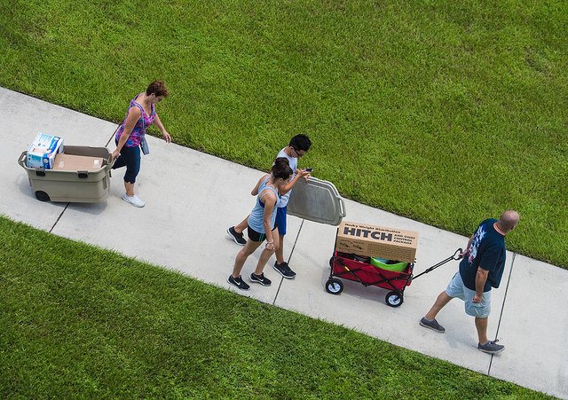A big Blue &amp; Green welcome to students moving in today for Summer Session B. Make the most of #theFGCUeffect. Info: bit.ly/2tNzeyk