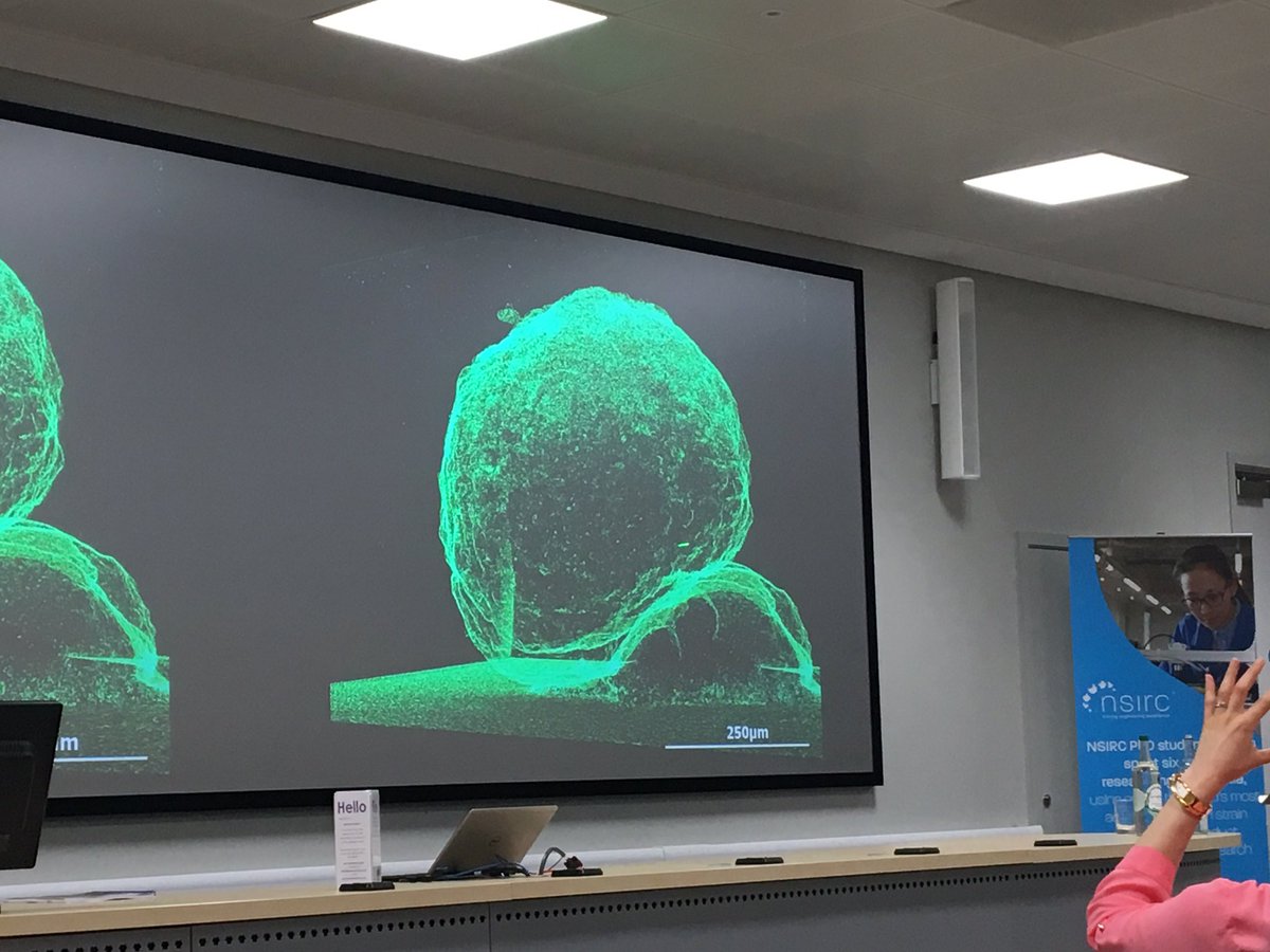 National Structural Integrity Research Centre tweet media