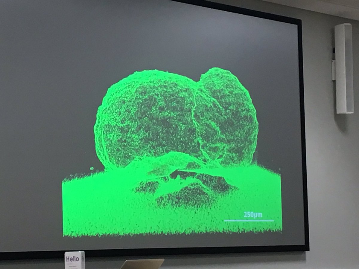 National Structural Integrity Research Centre tweet media