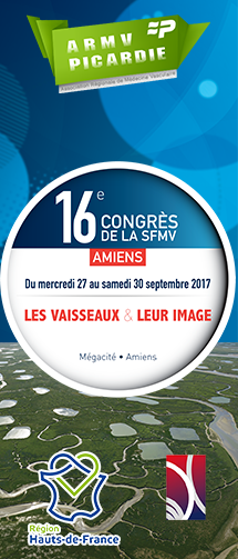 lasfmv's tweet photo. #sfmv #congressfmv #amiens2017 Découvrez le programme du 16ème congrès SFMV d'AMIENS 2017 https://t.co/54EgdMKd6L https://t.co/3qrPZCOh50