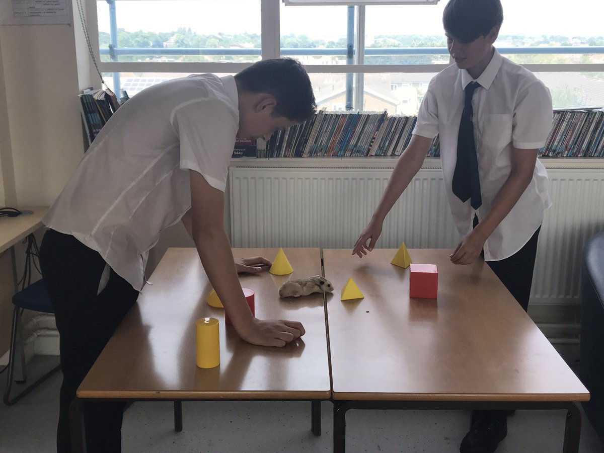 SirJaymoGriffin's tweet photo. As I'm unable to participate in sports day this year (pulled my HAMSTring) Max and Liam in Y8 kindly made me my very own obstacle course! https://t.co/ajcaodQn7H