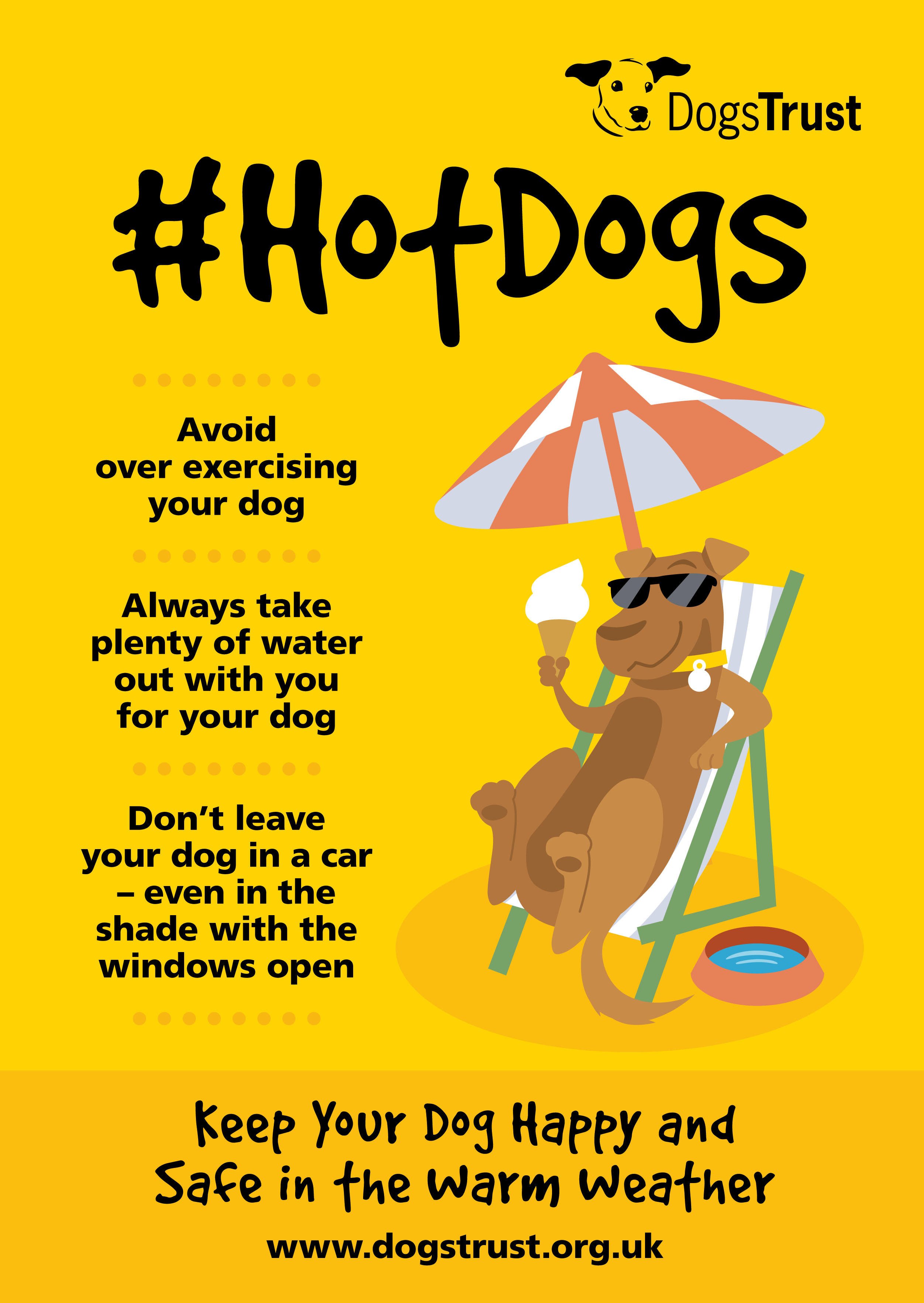 How To Keep Dogs Cool In Hot Weather Uk