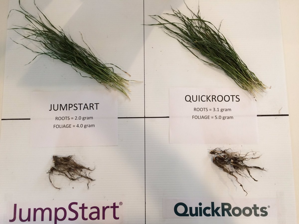 UAAggie's tweet image. A greater difference than I thought. Now let's see if it translates into yield! #grow17 nice work again by @aarsend