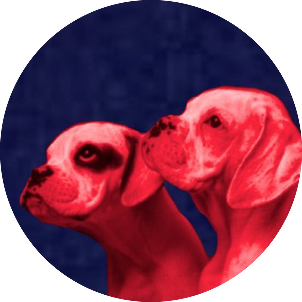 SWareHotDogs's tweet image. In honor of @SecretWeapons new icon. 🐶