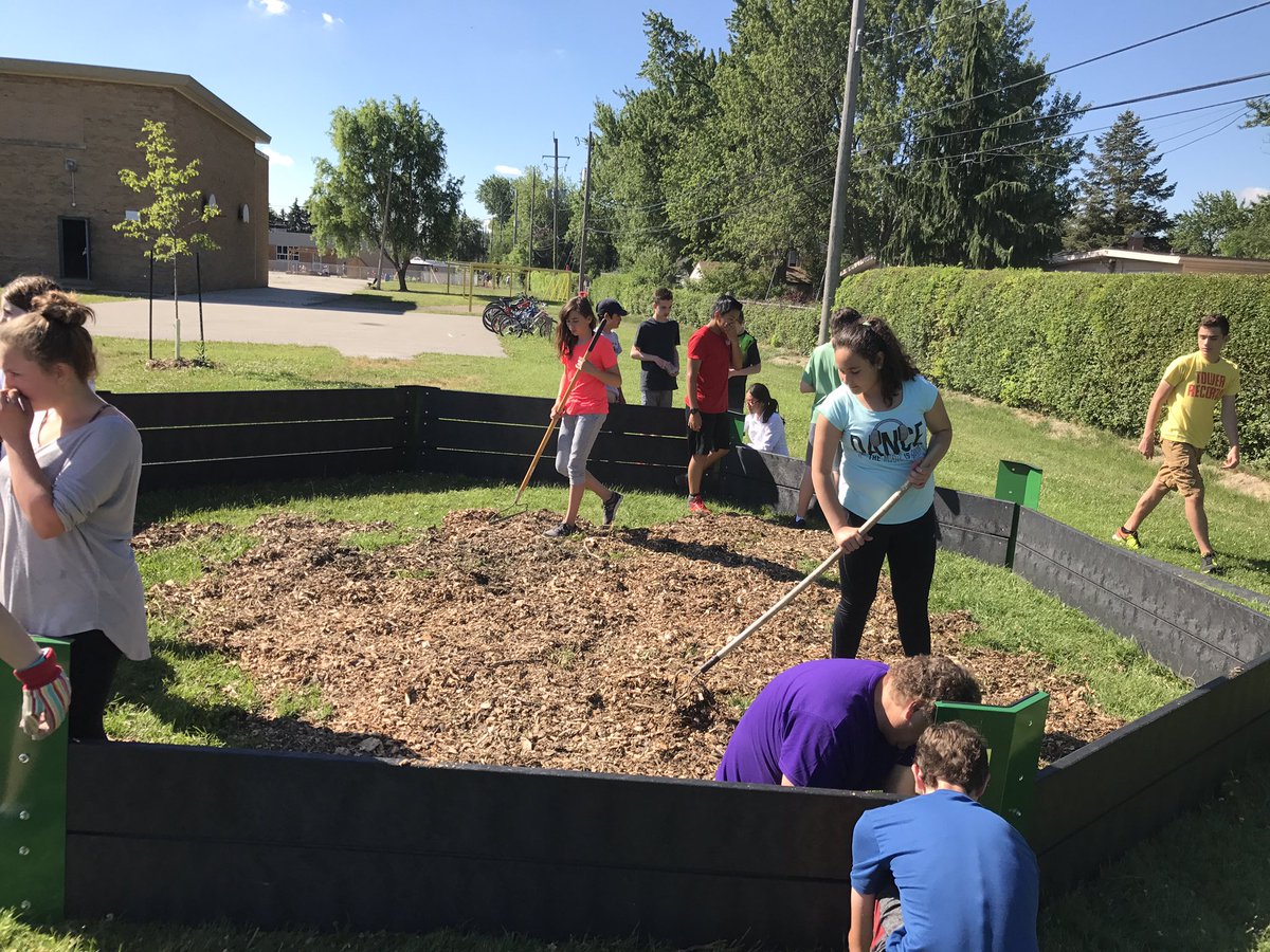 mrmcmahonsays's tweet photo. #guardiansgiveback @stgcschool gr 7 and 8s helping out in the school yard today https://t.co/jw17vv55sw