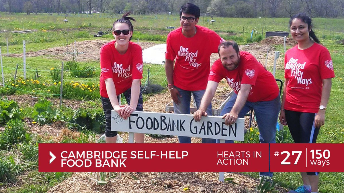 Volunteering at the <a href="/CambFoodBank/">cambfoodbank</a> Community Garden Plots as part of our #150ways campaign. bit.ly/2tt1erl