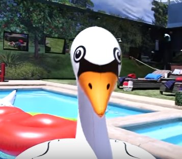 BBFeedsSpoilers's tweet photo. I don't see an account yet for either of the swans. What's taking so long?
#BB19
#BBSwan https://t.co/RU0xn8VN9R