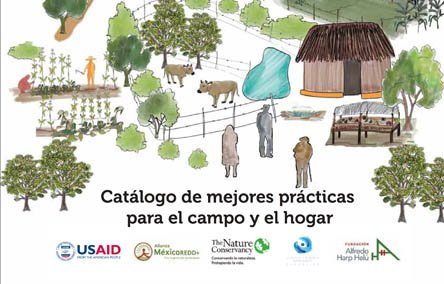 Catálogo de mejores prácticas para el campo y hogar, descarga la publicación en este enlace bit.ly/2tgYwFm #REDD+