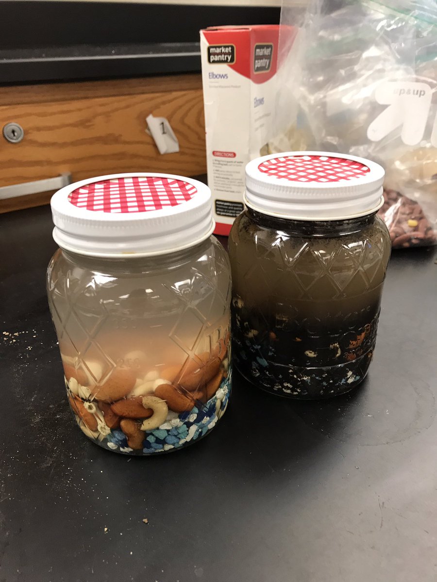 MsStiles_EDU's tweet photo. 7th graders are drawing conclusions about why we need grasses in the Chesapeake Bay! #STEMCamp #turbidity #STEMmuseum @chesapeakebay https://t.co/19kSH9R5nu