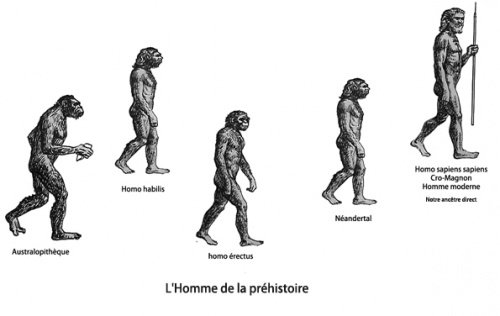 Methode Scientifique 8 06 New Fossils From Jebel Irhoud Morocco And The Pan African Origin Of Homosapiens T Co D0ruycs0fa Via Nature Lamethsci T Co Qfalnx2huc Twitter