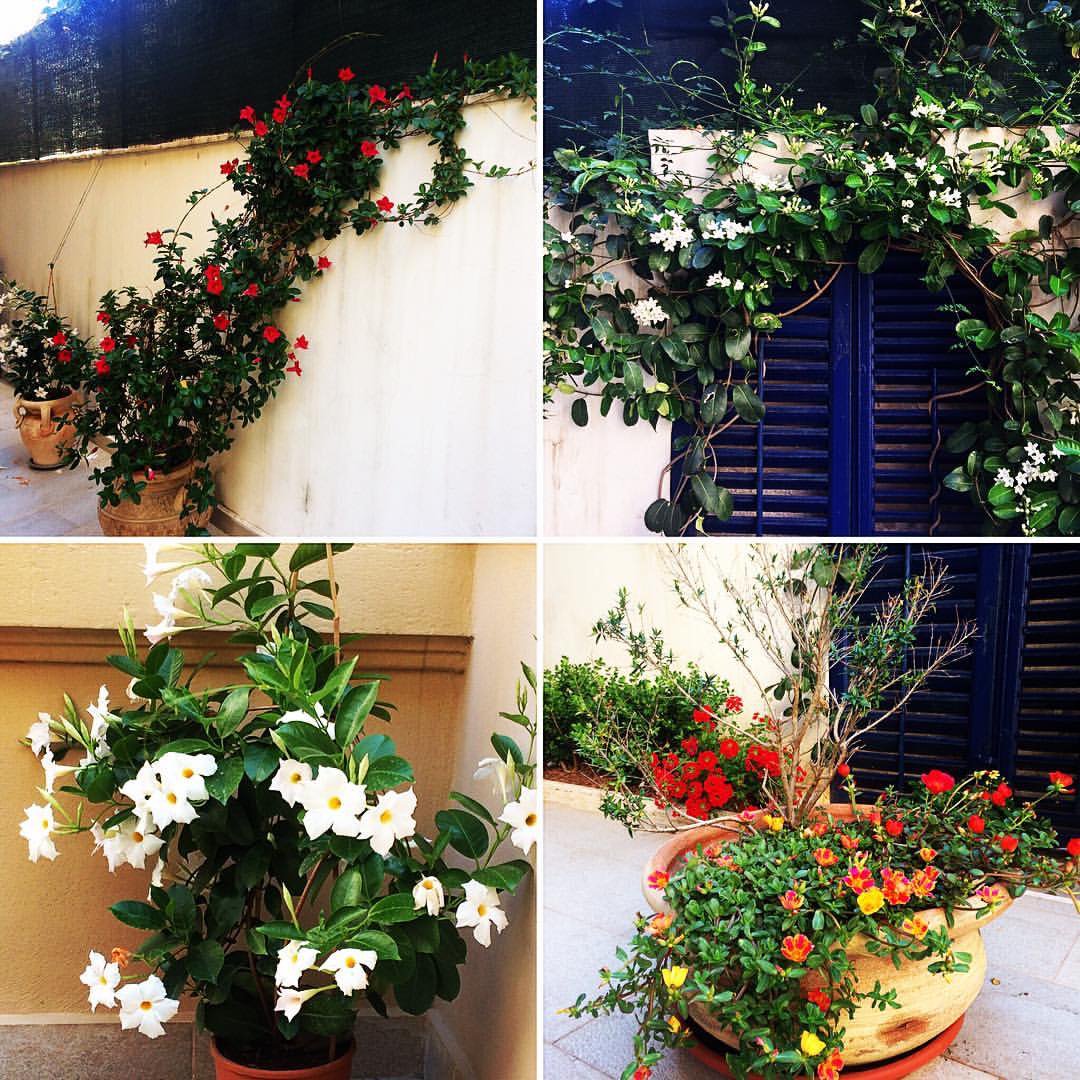CasaAmaltea's tweet photo. https://t.co/g5EDtqbOLs 
Il tuo soggiorno a Palermo  info@casamaltea.it
#casamaltea #visitingpalermo #sicily #apartments #justforyou #nature https://t.co/sGzZaHNOff
