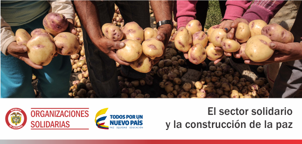 UsolidariaCo's tweet photo. Visite el espacio web Sector solidario y construcción de paz y conozca nuestra Propuesta de Planfes https://t.co/jdJJ4KkxQ8 https://t.co/oIsl77sxSm