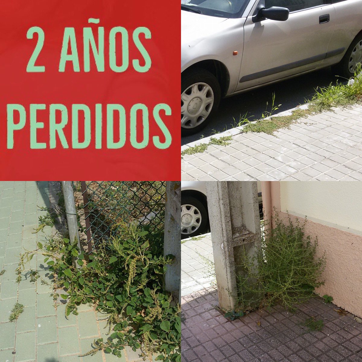 PPaljaraque's tweet photo. #Corrales abandonado 😓

Los vecinos empiezan a mostrar su malestar por el estado de suciedad de nuestras calles. 
#Aljaraque 

📌Triana 👇🏻 https://t.co/Ju7R9JXVRX