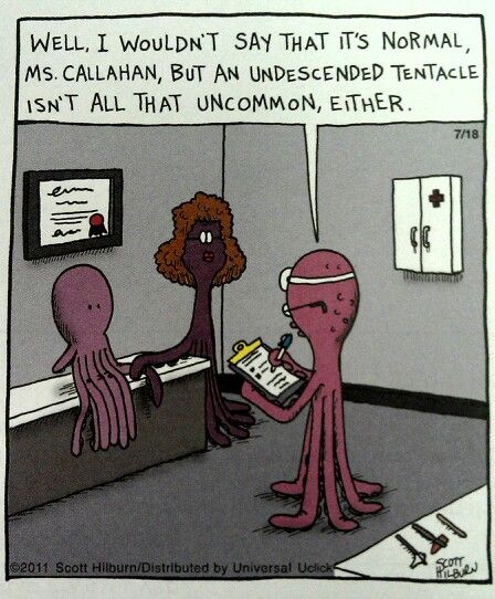 sciencehumorfb's tweet photo. Happy #CephalopodWeek! #sciencehumor #science #humor #joke #cartoon https://t.co/Bp8kYqUbGw