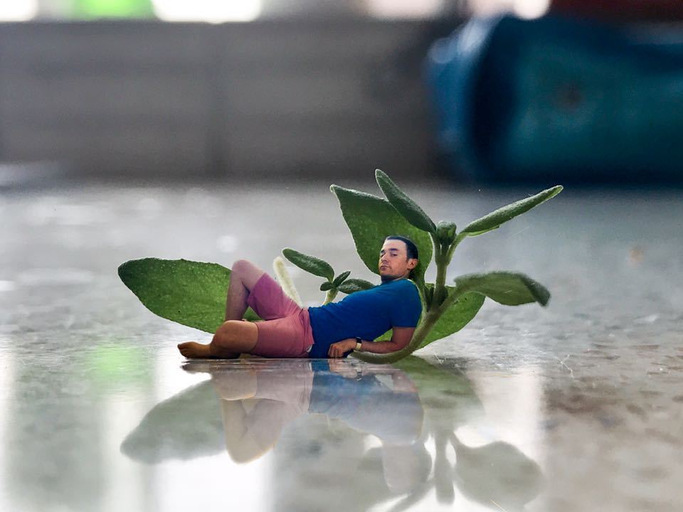 v_gilad's tweet photo. Having some quality thyme indoors #TooHot #BarelySlept #thyme #ThisIsWhyIAmNotAComedian https://t.co/T4qxD6iQ4X