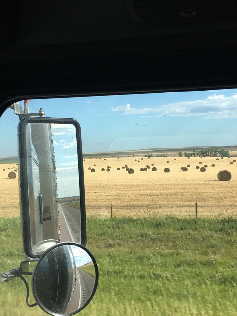 Tales from the Feedyard (Uncensored) tweet media