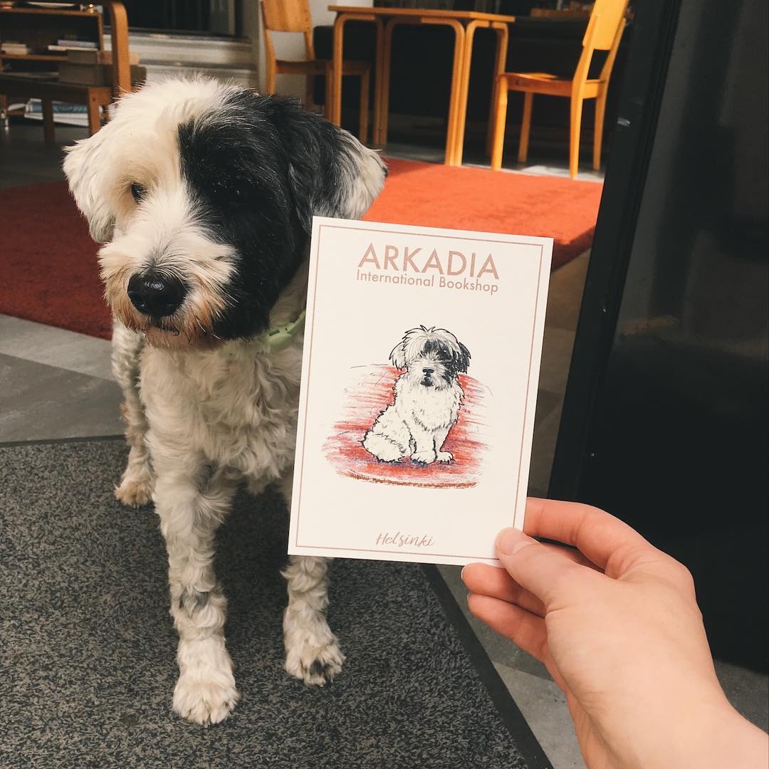 ArkadiaBookshop's tweet photo. New Arkadia Bookshop postcards are now available in five different designs! Illustrations by Darina Rodionova. https://t.co/TSEIW98hxH